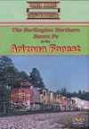BNSF in the Arizona Forest DVD