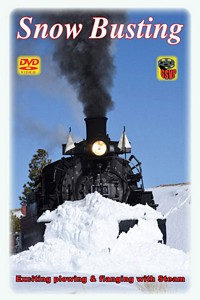 Snow Busting Steam DVD
