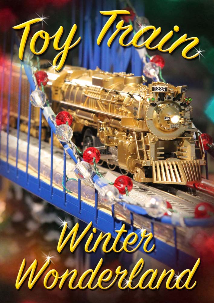 Toy Train Winter Wonderland DVD TM Books and Video WINTER